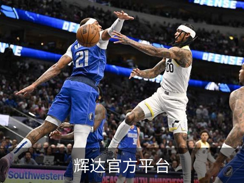 辉达官方平台品牌故事